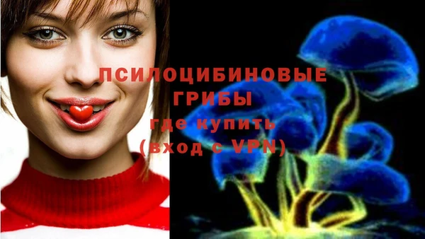ECSTASY Инсар