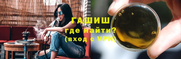 шишки Инта