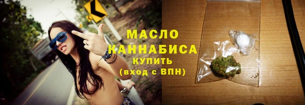 шишки Инта
