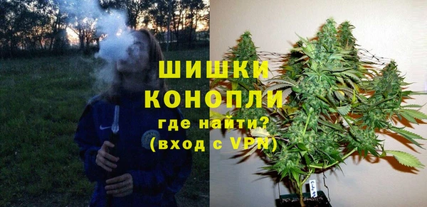 ECSTASY Инсар