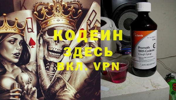 шишки Инта