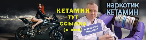 шишки Инта