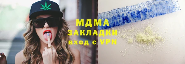 шишки Инта