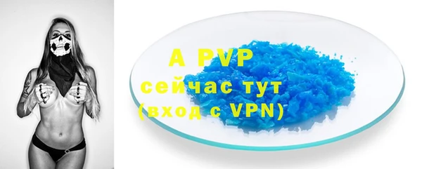 шишки Инта