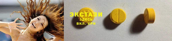 ECSTASY Инсар