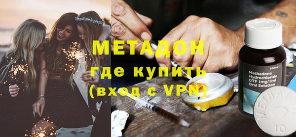 шишки Инта