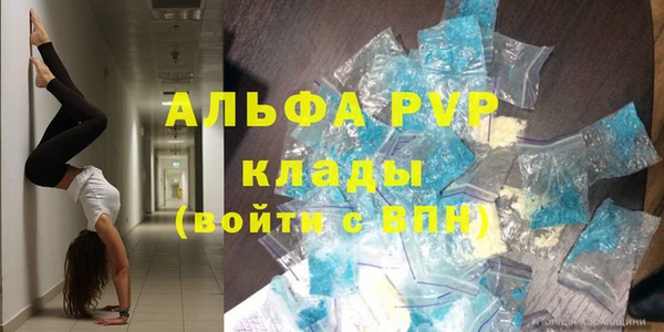 ECSTASY Инсар