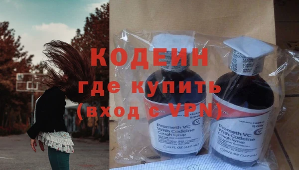 шишки Инта