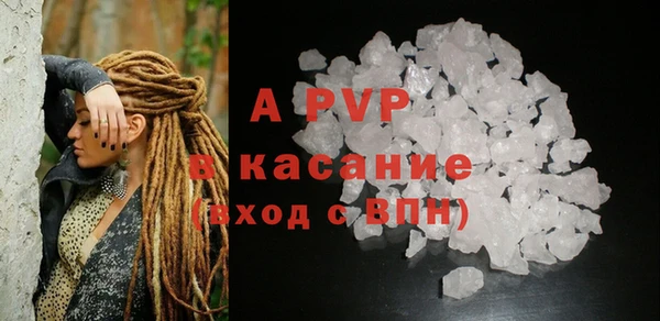 ECSTASY Инсар