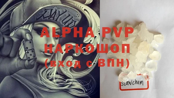 шишки Инта