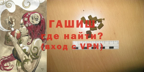 шишки Инта
