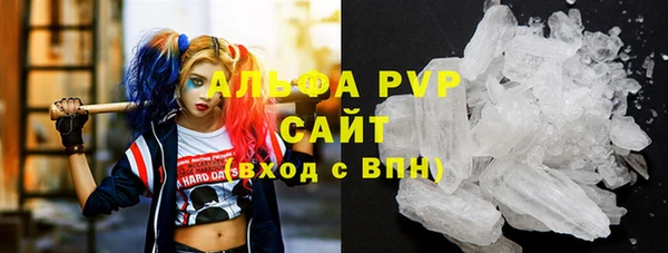 шишки Инта