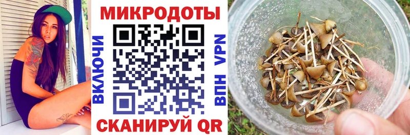 как найти закладки  omg онион  Псилоцибиновые грибы GOLDEN TEACHER  Сургут 