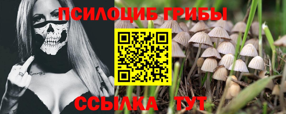 Сургут  Галлюциногенные грибы ЛСД  Вход с VPN  Псилоцибиновые грибы мухоморы 